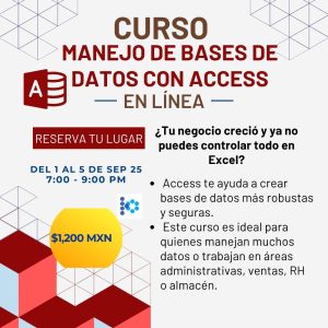 Manejo de Bases de datos con Access