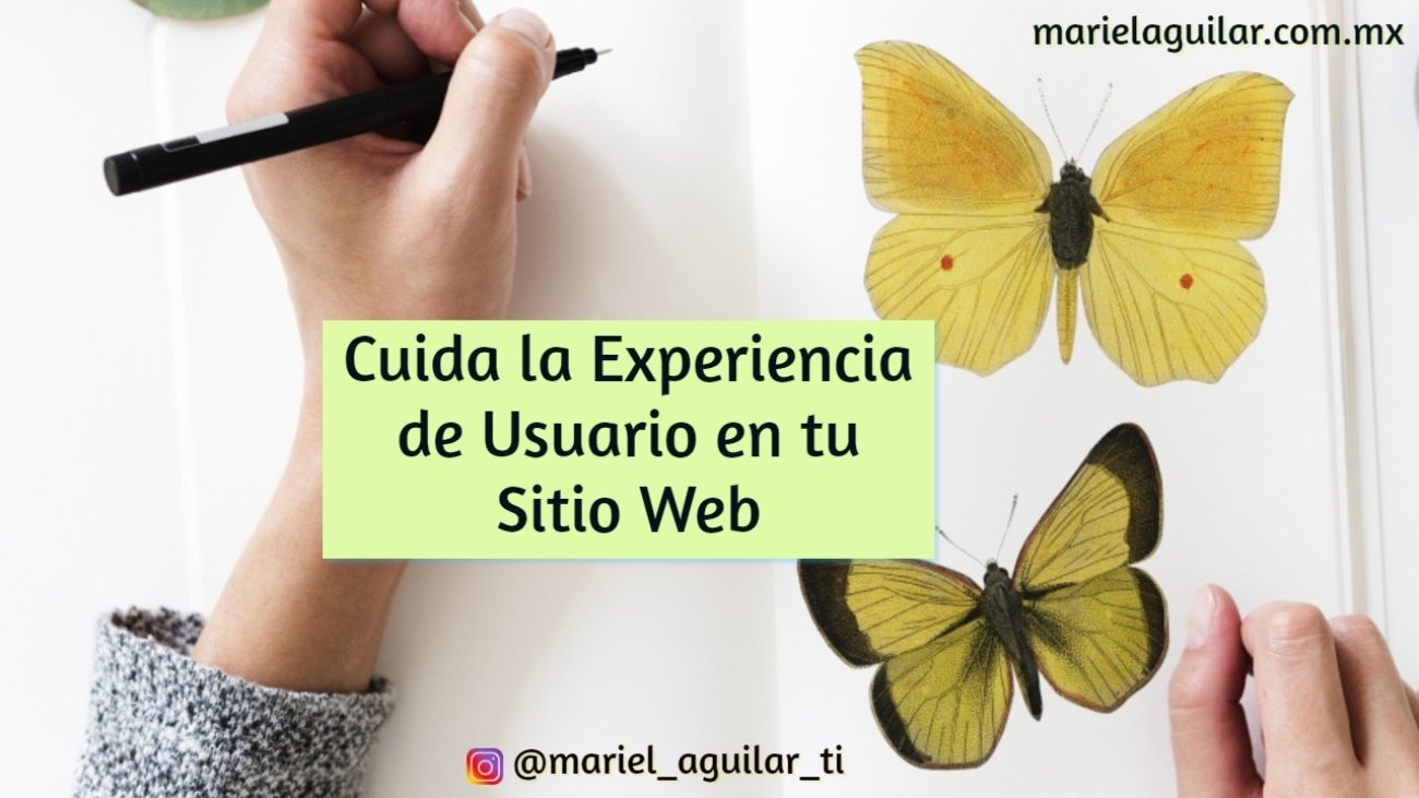experiencia_usuario